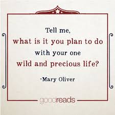 A Quote By Mary Oliver Best Quotes From Books Goodreads Quotes Words Quotes