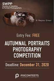 Autumnal Portraits Photography Competition Photography Competitions Portrait Portrait Photography