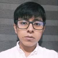 100+ "Luis S." profiles