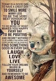 Pin By Uleko On Cute Animals Australia Animals Koalas Positive Quotes