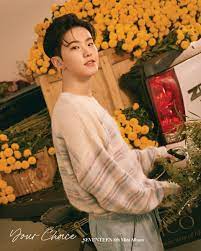 The community chest of gyeonggi has revealed that last week, hoshi donated 100 million won (approximately. Hoshi Seventeen Wiki Fandom