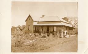 Image result for Peddiea