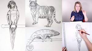 Affordable and search from millions of royalty free images, photos and vectors. How To Draw Rainforest Animals Learn The Skill Of Painting Online Art Lessons Youtube