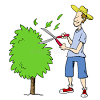 Our services include tree removal, tree trimming, tree pruning, and tree preservation. 1