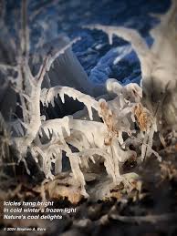 Dahlia has been found!! She is back safe and sound! Thank you kind  neighbors!! So blessed to live in this super caring village that supports  and loves one another 🩷🐈🏡🏠🏡