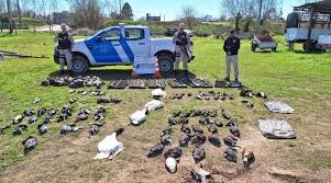 images?q=tbn:ANd9GcSFcvcp08MayaxhUEKzseyTqzwgQOt3SpB2IQ&s