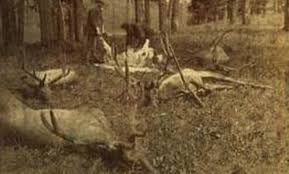 Jul 25, 2021 · considered to be the heart of pennsylvania elk country, the town of benezette is located along state route 555 in elk county. Benezette Cabin Rentals Blog Benezette Rental Cabins