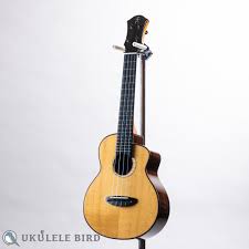 Image result for Nemum angolense