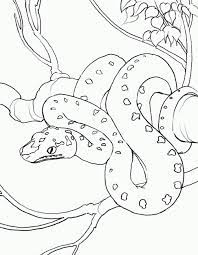 The best selection of royalty free coloring page snake vector art, graphics and stock illustrations. Snake Pictures Coloring Pages For Kids Snake Coloring Pages Animal Coloring Pages Horse Coloring Pages