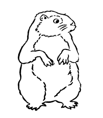 Dogs are some of the most beloved pets for us to have around. Drawing Groundhog 10985 Animals Printable Coloring Pages
