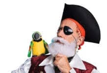 The Miracle at Seacrest Beach: America Responds