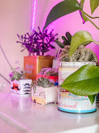 Maybe you would like to learn more about one of these? Beginner S Guide To Choosing And Using Grow Lights The Green Mad House