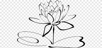 Line art adalah sebuah gambar yang metodenya hanya menonjolkan. Drawing Line Art Black And White White Lotus Flower White Leaf Png Pngegg
