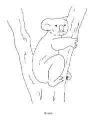 Koala coloring pages, koala coloring page, koalas coloring pages, koala pictures, koala coloring book pages, koala bear coloring pages, koala bear coloring page, koala color pages. Koala Coloring Page By Mama Draw It Teachers Pay Teachers