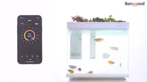 Geometry 15l 30l Smart Temperature Control Ai Fish Tank Real Time Monitoring Of Water Quality Efficient Filtration App Controls Sale Banggood Com