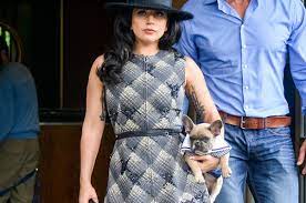 She is said to be offering $500,000 to. Five Arrested After Lady Gaga S Bulldogs Stolen Dogwalker Shot