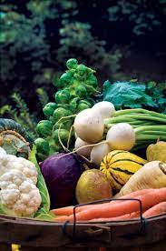 Start with a small space. Grow Your Best Fall Garden Vegetables Mother Earth News