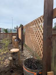 How We Made This Eye Catching Grape Trellis In Our Garden A Trellis Is A Great Way To Add Some Charm To Your O In 2020 Garden Trellis Diy Garden Trellis