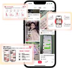 小紅書營銷策略| 香港品牌KOL推廣與內容種草| 卓越媒體