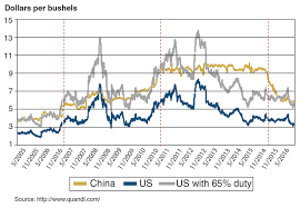 of maize and markets chinas new corn policy card