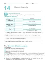 Distantly related species develop similarities in comparable environments. Chapter 14 Worksheets