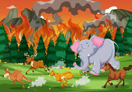 Fotografía del retiro de las víctimas del incendio. Los Animales Salvajes Huyen De Los Incendios Forestales Vector Gratis