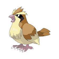Pidgey - Pokemon Red, Blue and Yellow Guide - IGN