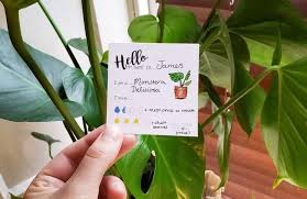Plant Care Tags Digital Download Print Yourself At Home Etsy Plant Care Plant Tags Plant Care Instructions