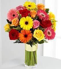 Yellow Daisies Pink Daisies Red Daisies Orange Daisies San Diego Florist Congratulations Flowers Flower Delivery Daisy Bouquet