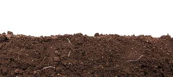 How do i amend my garden soil. Dirt On Dirt Soil Amendments Vs Fertilizer Vs Compost More Dave S Garden