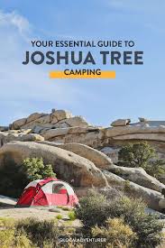 Maybe you would like to learn more about one of these? Joshua Tree Camping What You Need To Know Local Adventurer