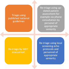 Clinical indications and triaging for adult transthoracic echocardiography:  a statement by the British Society of Echocardiography
