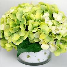 We reserve the right in our sole discretion to limit quantities to normal retail and online purchases. 50 Dollar Store St Patrick S Day Decor Ideas Prudent Penny Pincher