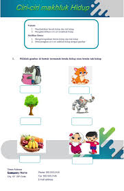 Add to my workbooks (0) download file pdf embed in my website or blog add to google classroom add to microsoft teams share through. Benda Hidup Dan Tak Hidup Goreng