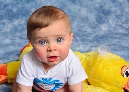 Three Chickadees Photography, Bartlett, TN 38135, US