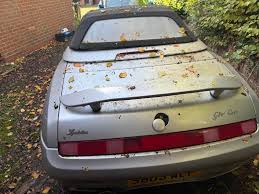 Image result for Blu Posillipo 1974 Alfa-Romeo