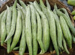 It grows in tropical, subtropical climates. Snake Gourd Snake Gourd Nutrition Is It Good For You