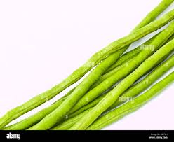 Image result for Vigna unguiculata
