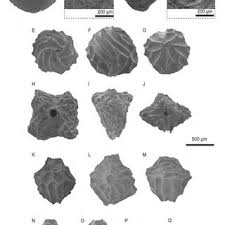 This file includes a collection of free autocad blocks kitchen sinks and dishwashers: Location Map Showing The Main Sedimentary Basins In Libya After Download Scientific Diagram