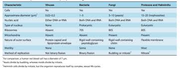 Types Of Pathogenic Microorganisms The Art Of Medicine