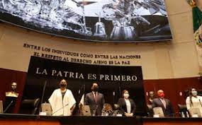 Martínez, maría elena chapa hernández fue profesora de educación primaria, secundaria y normal de 1960 a 1990 y profesora universitaria de 1969 a 1988. 4tvdnaulpburum