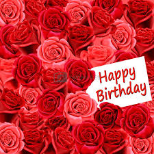 Check spelling or type a new query. Happy Birthday Flower Wallpapers Top Free Happy Birthday Flower Backgrounds Wallpaperaccess