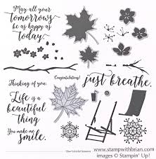 Image result for colourful seasons stampin up