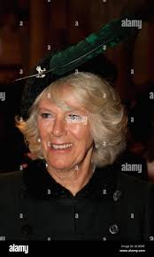 The duchess cornwall talks to hi-res stock photography and images