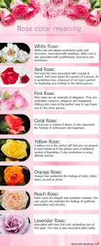 Meaning Of Roses Meaning Roses In 2020 Rose Color Meanings Rose Meaning White Roses Meaning