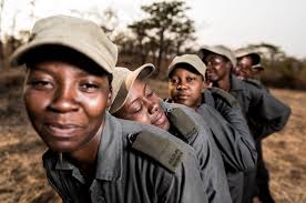 America's frontline doctors stands up for every american looking for the best quality healthcare. Cites On Twitter Meet Zimbabwe S All Female Anti Poaching Combat Unit That Fights Wildlifecrime On The Frontline To Save Elephants Other Wildlife Https T Co C66jq5sgyd Via Guardian Empoweringwomen Ruralcommunities Endwildlifetrafficking