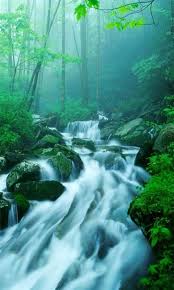 Hd wallpapers are hot because there. Wallpaper For Cellphone Free Download Posted By Samantha Simpson