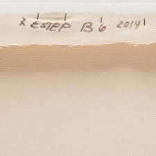 Ryan Estep, "Sterilized Dirt B6".