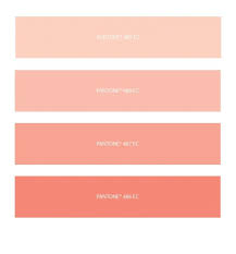 Maybe you would like to learn more about one of these? Rose Gold Pantone Peach Palette Color