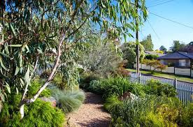 Phillip Johnson Landscapes Natural Pools Garden Design Billabongs Australian Garden Garden Landscape Design Australian Native Garden